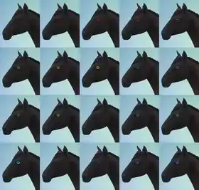 UNnatural Horse Eyes