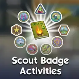 Updated Scout Badge Activities