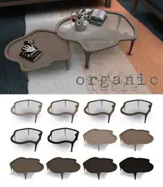 Organic Coffee Table Set