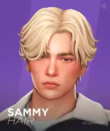 Sammy Hair (Revamped)