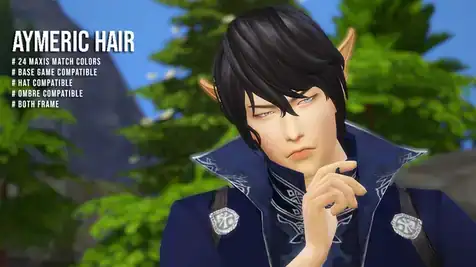 Aymeric hair