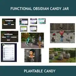 Functional Obsidian Candy Jar