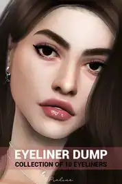 Eyeliner Dump (Collection of 10)