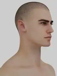MALE SKIN SALVAT For TS4
