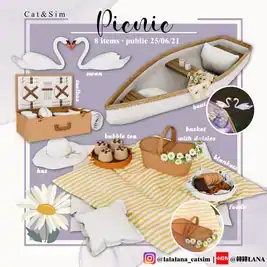 Picnic Set