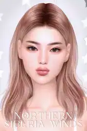 Skin & Face Preset Collection ( Lips / Skin / Eyelids / Eyeliner / Blush ) [MM]