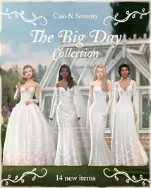 Caio x Serenity - The Big Day Collection