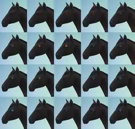 UNnatural Horse Eyes