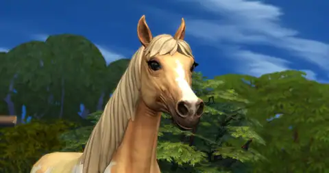Girly Eyelashes for Horses [MM]