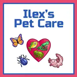 Ilex's Pet Care
