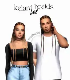kelani braids set
