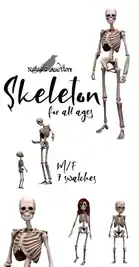 Skeleton for all ages