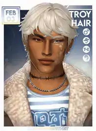Troy Hair