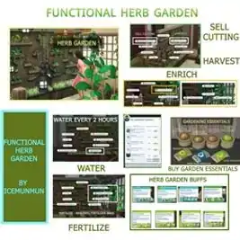 Functional Herb Garden