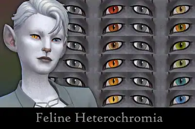 Feline Heterochromia