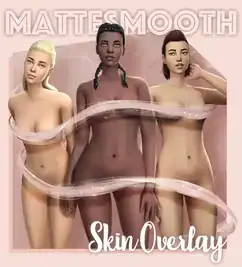 Matte Smooth Skin Overlay | emmibouquet
