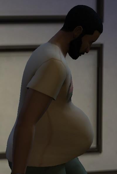 pregnancy mod