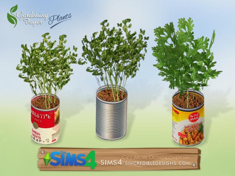 Gardening Foyer plants - edible herbs