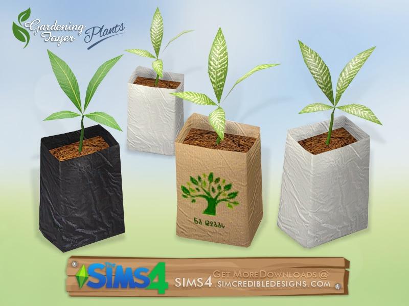 Gardening Foyer plants - seedling bag