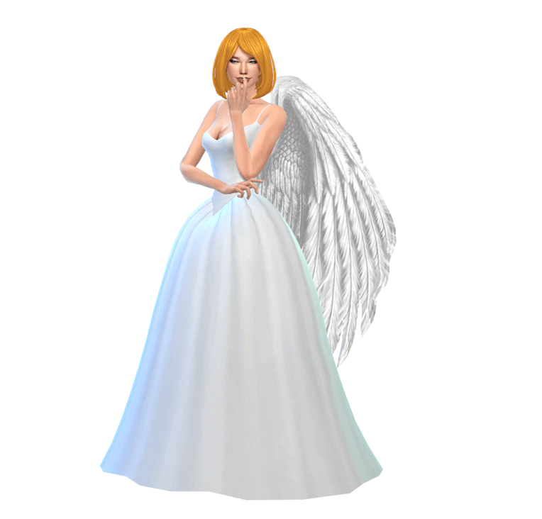 angel wings 6
