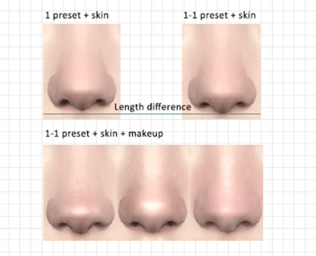Sims 4 Nose Presets
