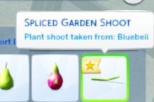 spliced plant