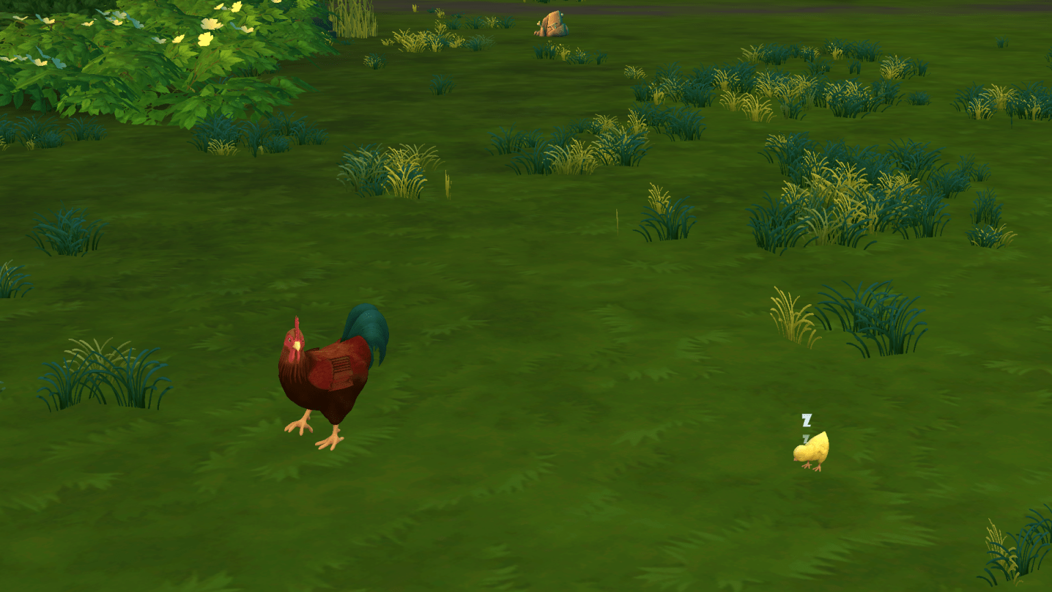 TS4 Chickens The Ultimate Guide on Cleaning and Caring For Them