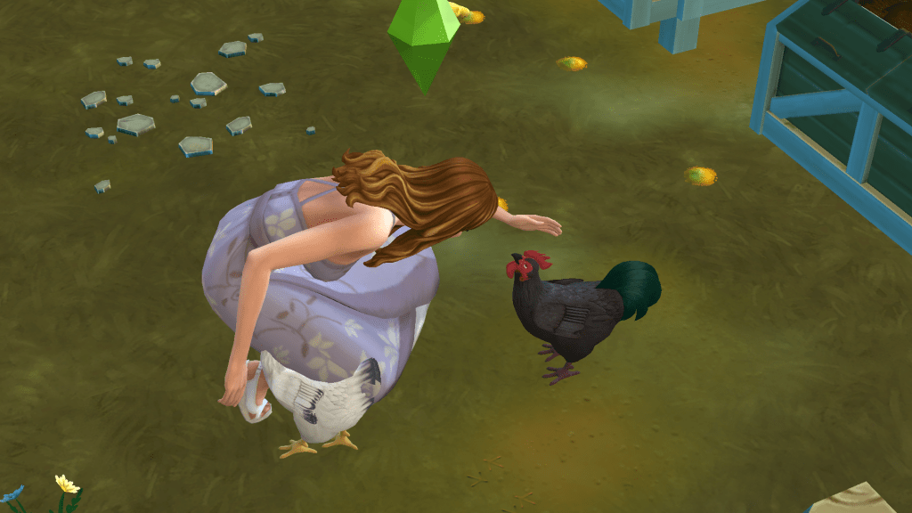 sims 4 how to clean chickens