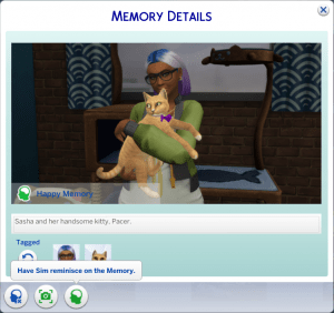 Memory Panel Make Meaningful Memories with the Memory Panel Mod — SNOOTYSIMS