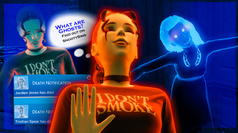 Have You Seen a Ghost? All You Need To Know About These Spooky Creatures!