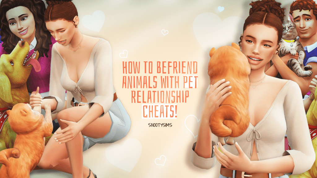 pet relationship cheat