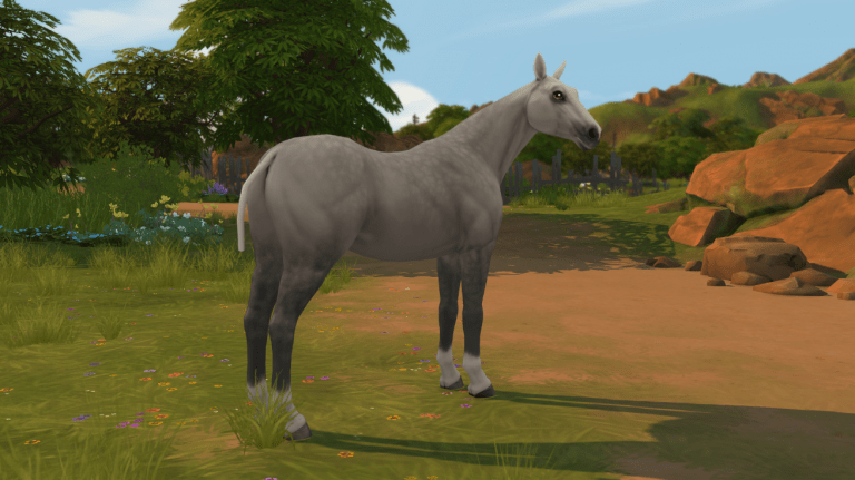 Search Results 30 Hairless Tail for Horses