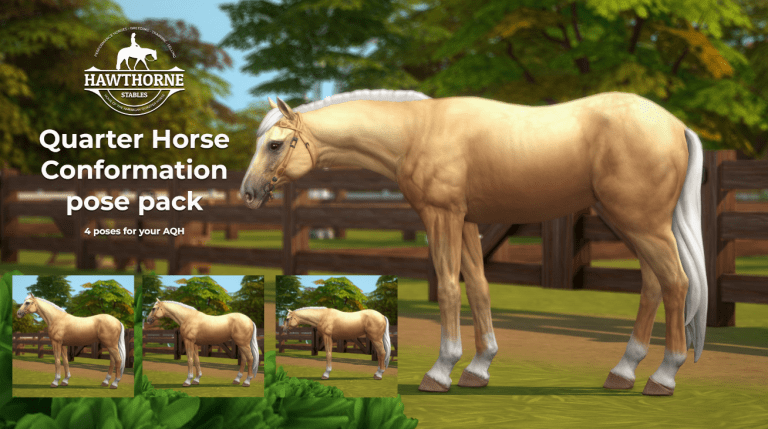 Search Results 53 Quarter Horse Conformation Mini Pose Pack