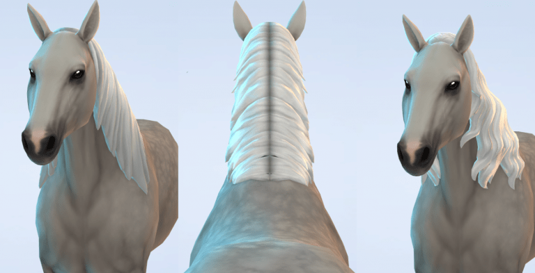 Search Results 28 Two-Sided EA Manes for Horses