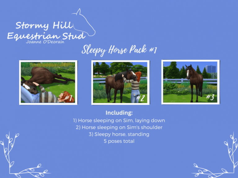 Search Results 44 Sleepy Horse Pose Pack