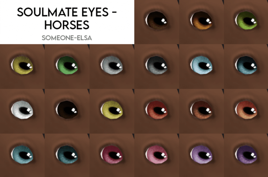 Soulmate Eyes for Horses Set (Custom/ Heterochromia)