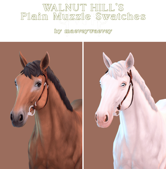 Plain Muzzle Recolor for Horses [MM]