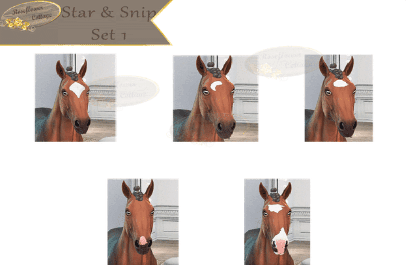 Star & Snip Set Head Markings for Horses [MM]