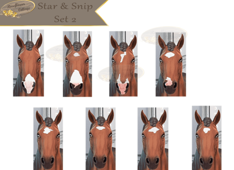 Star & Snip Set Version 2 Horse Head Markings [MM]