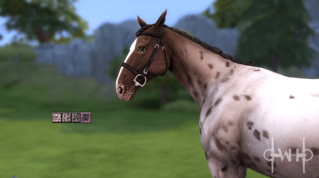 Appaloosa Mottling Muzzle Swatches for Horses [MM]