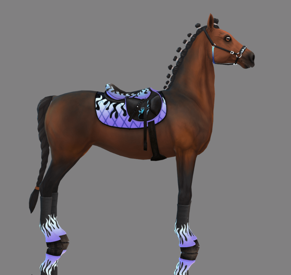 Flame Rock Set for Horses (Leg Wraps/ Bridle/ Saddle Pad/ Blanket)
