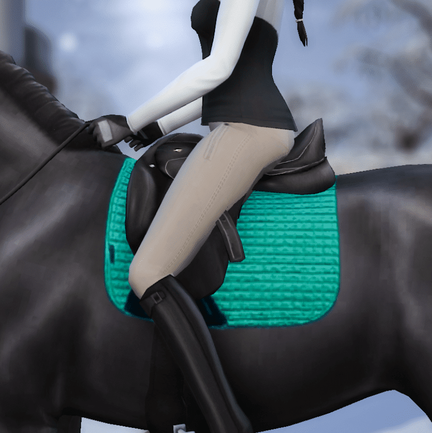 Dressage Saddle and Pads for Horses [MM]
