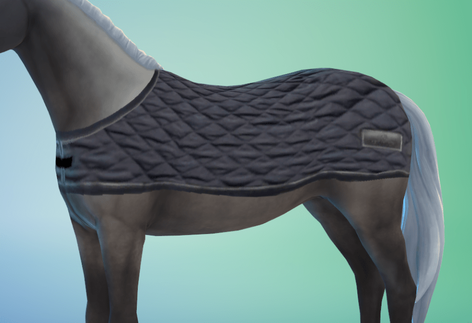 Riding Blankets for Horses [MM]