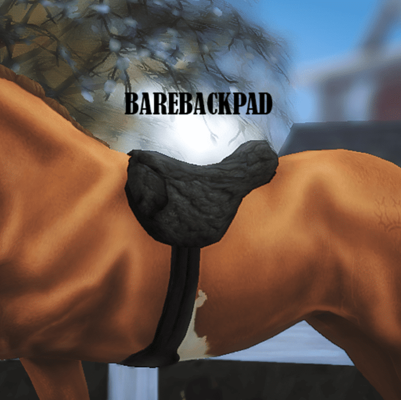 Bareback Riding Pad for Horses