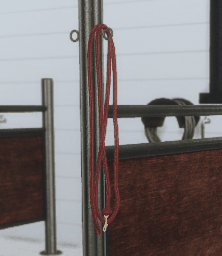 Hanging Lead Rope Decor [ALPHA]