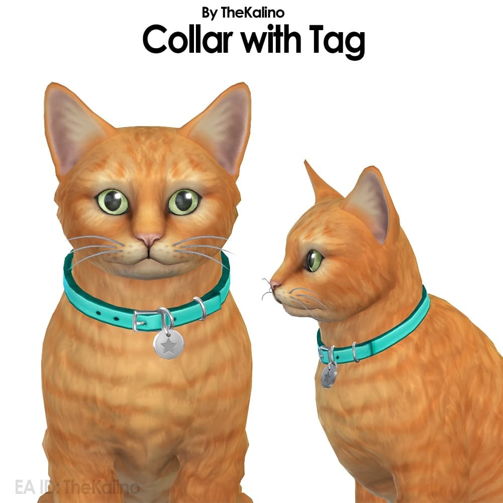 CollarwithTag