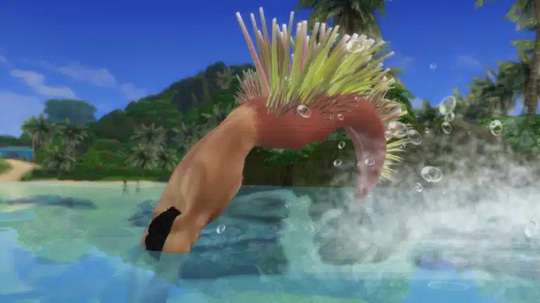 Search Results 53 Sea Porcupine