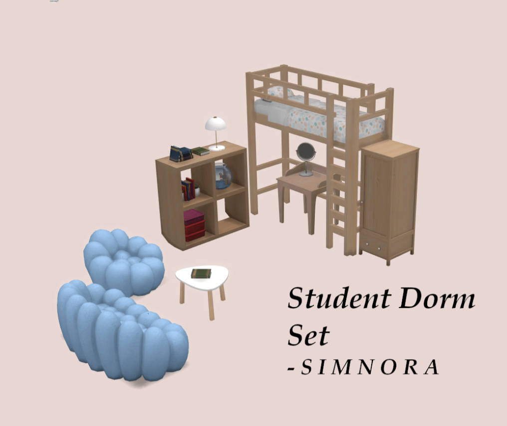 Student Dorm Set (Loft Bed/ Sofa/ Tables/ Shelf/ Cabinet/ Decors/ Light)