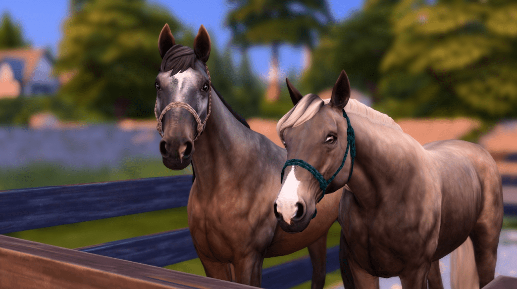 Rope Halter Recolor for Horses [MM]