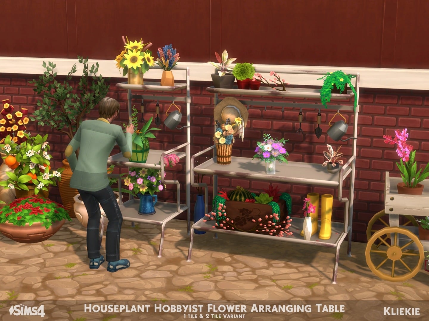 kliekie buy activityskill houseplanthobbyistflower